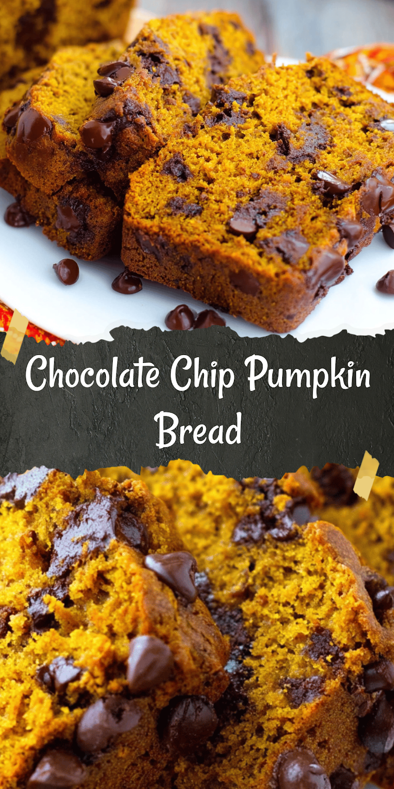 Best Chocolate Chip Pumpkin Bread