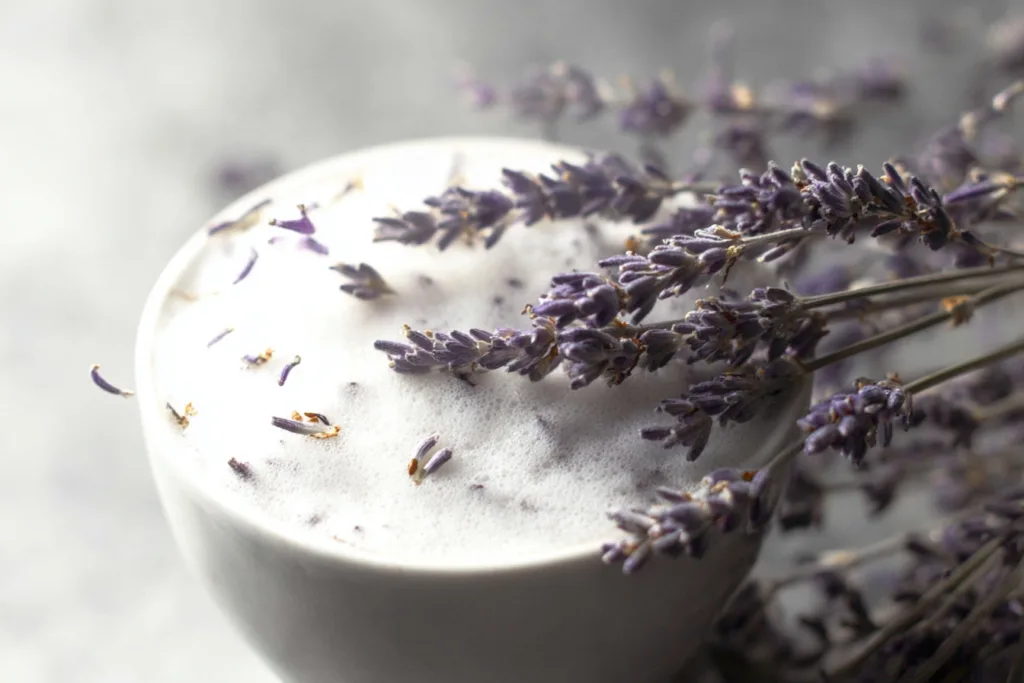 london fog lavender drink recipe photo
