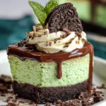 mint chocolate cheesecake dessert recipe photo